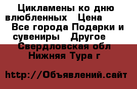 Цикламены ко дню влюбленных › Цена ­ 180 - Все города Подарки и сувениры » Другое   . Свердловская обл.,Нижняя Тура г.
